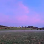 Lesna Dolinka 아파트